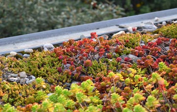 the cost of Metfield green roof installation