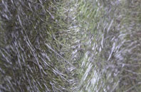 Metfield fibreglass roof work